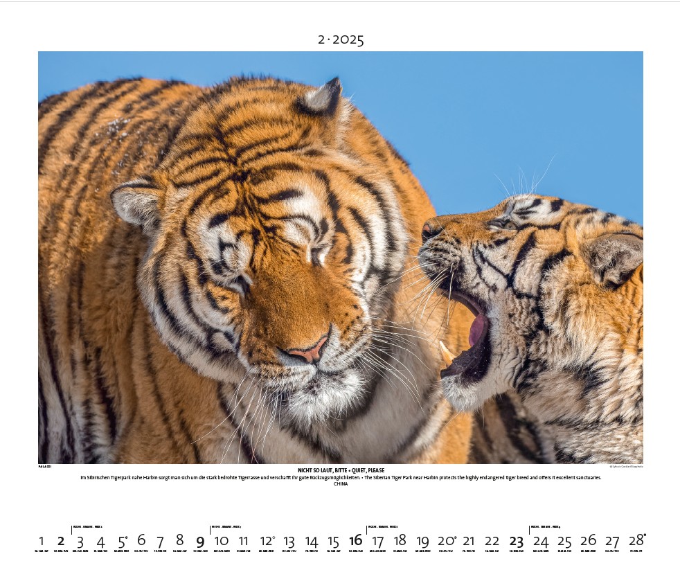 Neumann Verlag, janvier 2025. Photo Sylvain Cordier / Biosphoto