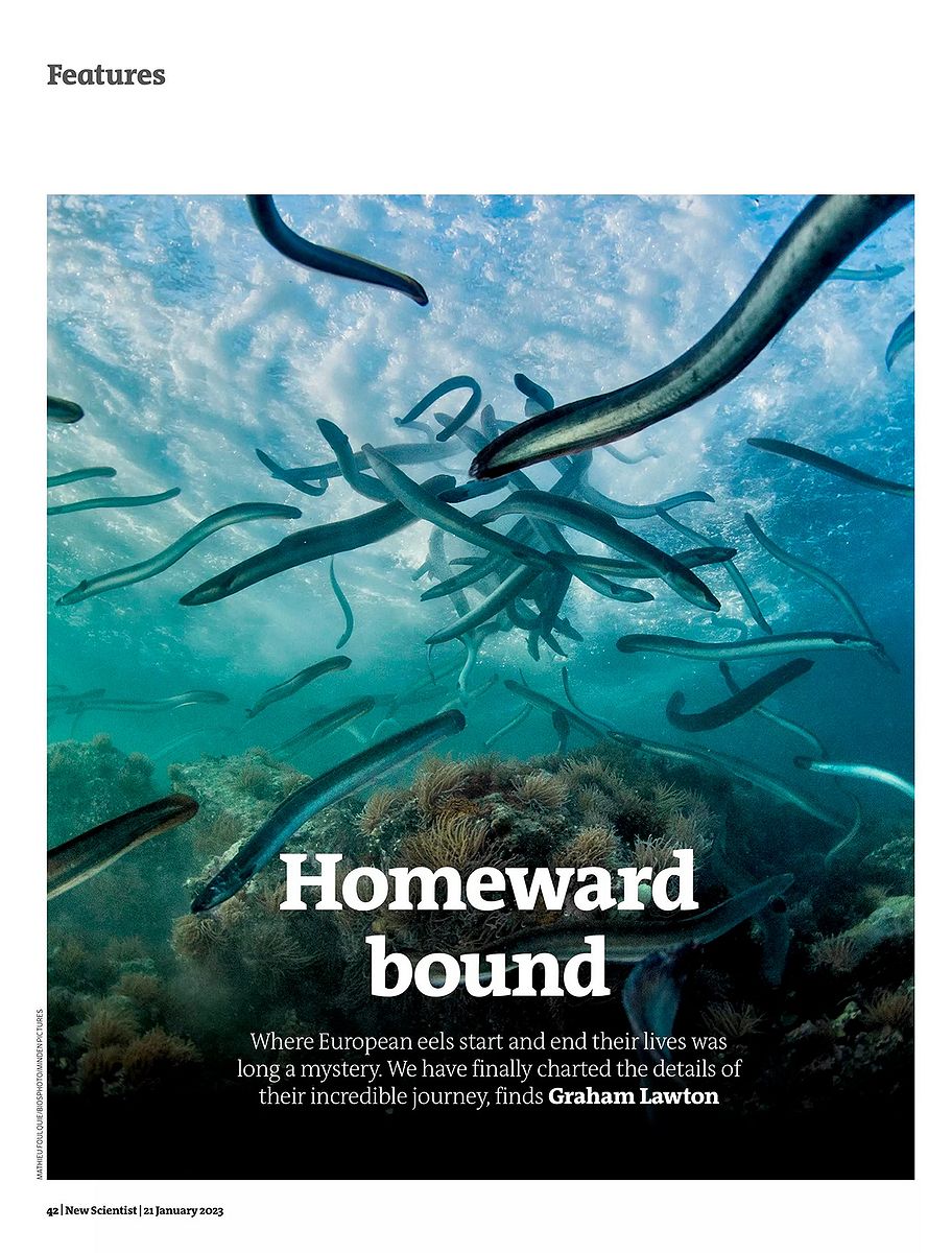 New Scientist, 21 janvier 2023. Photo Mathieu Foulquié / Biosphoto