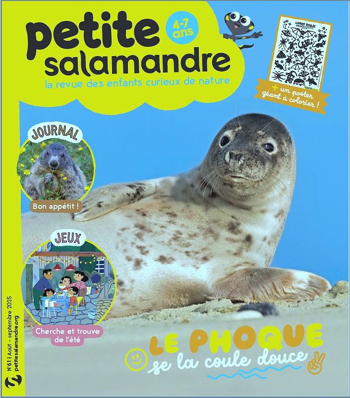 Petite Salamandre, septembre 2025. Photo Thomas Hinsche / imageBROKER / Biosphoto