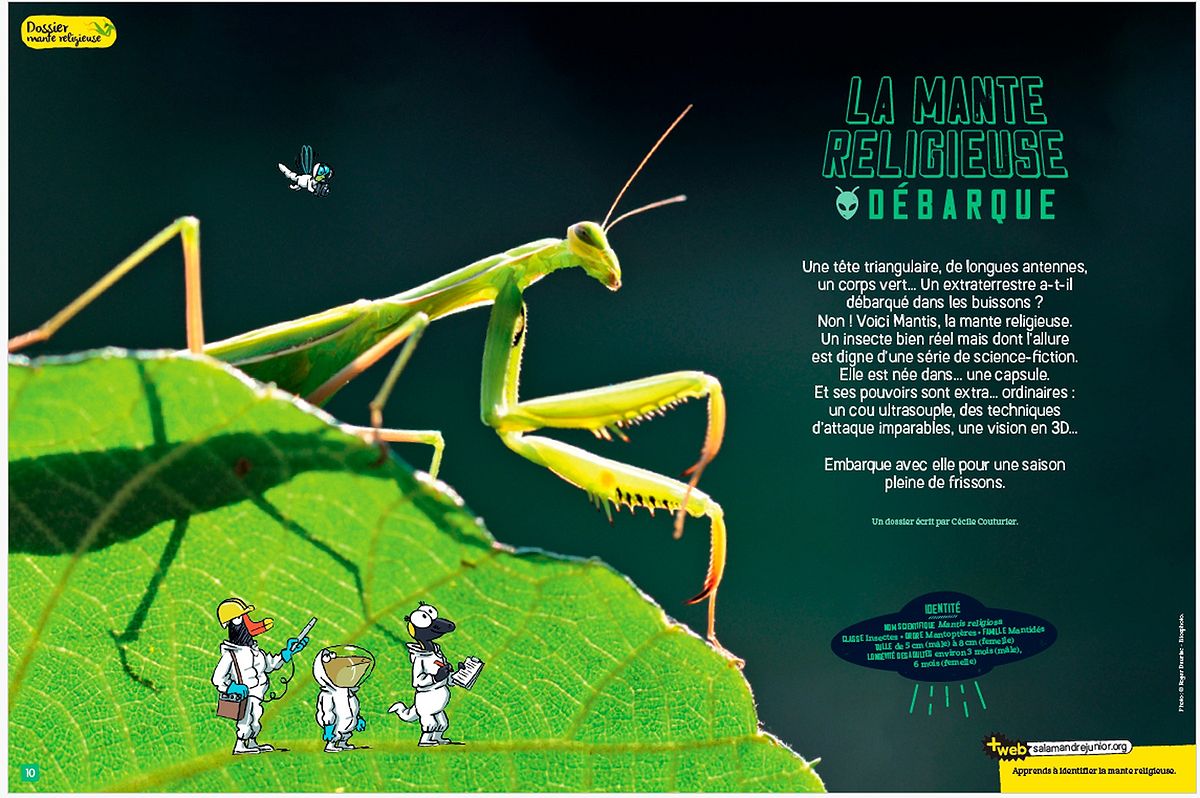 Salamandre, avril 2025. Photo Roger Dauriac / Biosphoto