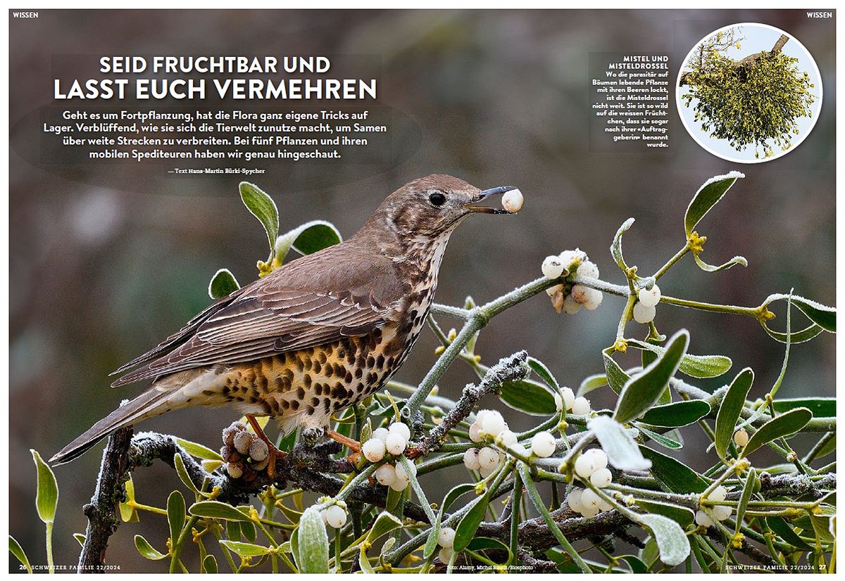 Schweizer Familie, mai 2024. Photo Michel Rauch / Biosphoto