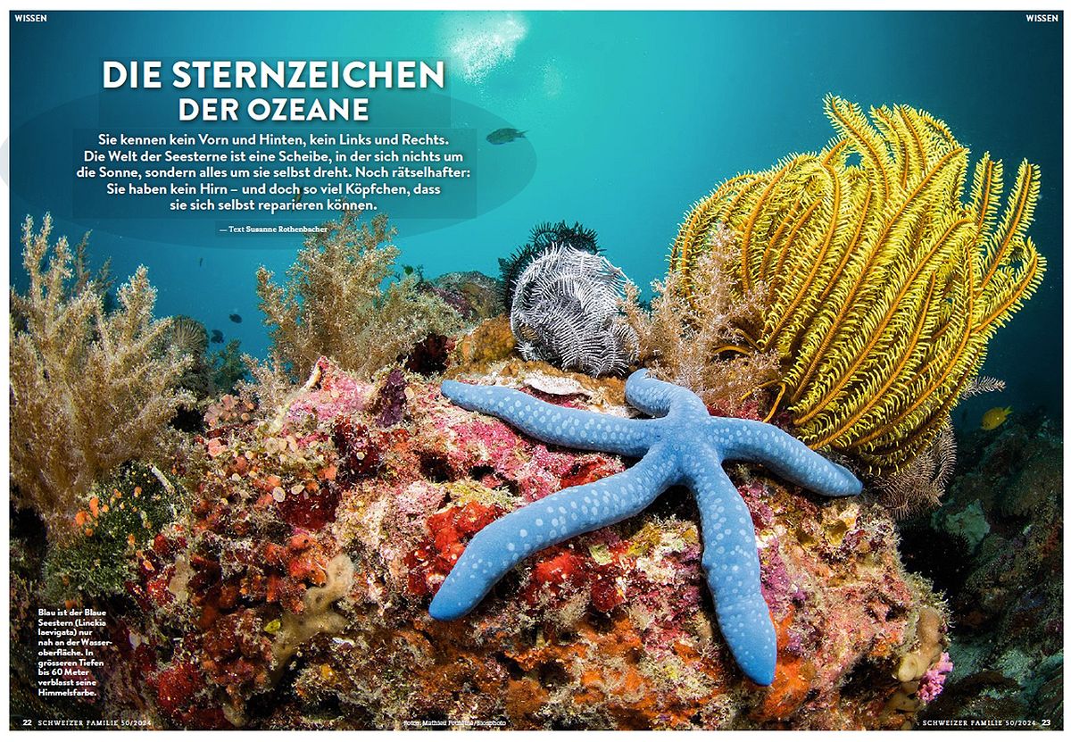 Schweizer Familie, décembre 2024. Photo Mathieu Foulquié / Biosphoto