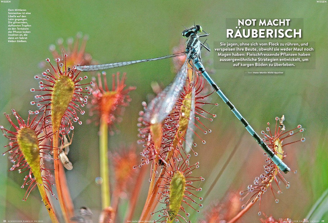 Schweizer Familie, septembre 2025. Photo André Simon / Biosphoto