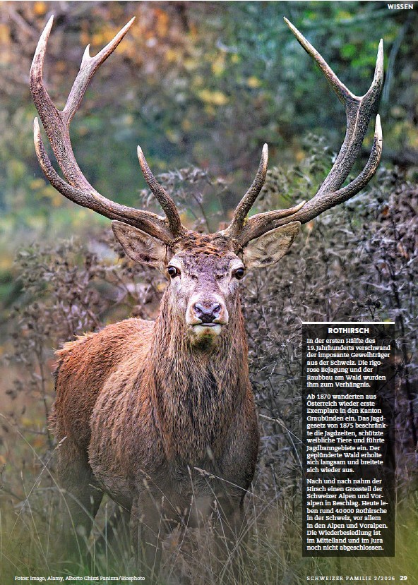 Schweizer Familie, février 2026. Photo Alberto Ghizzi Panizza / Biosphoto