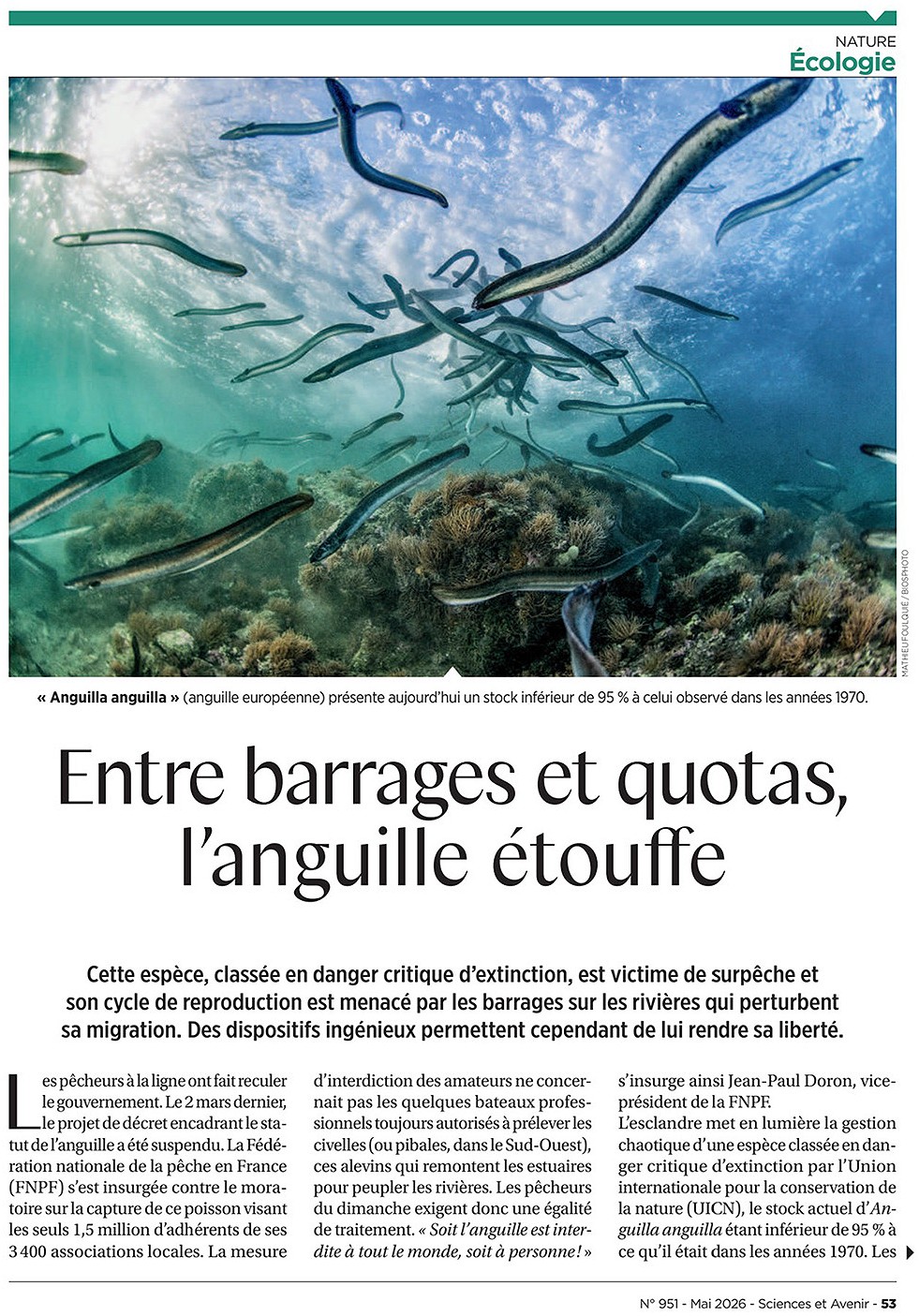 Caisse d'Epargne, mars 2026. Photo Mathieu Foulquié / Biosphoto