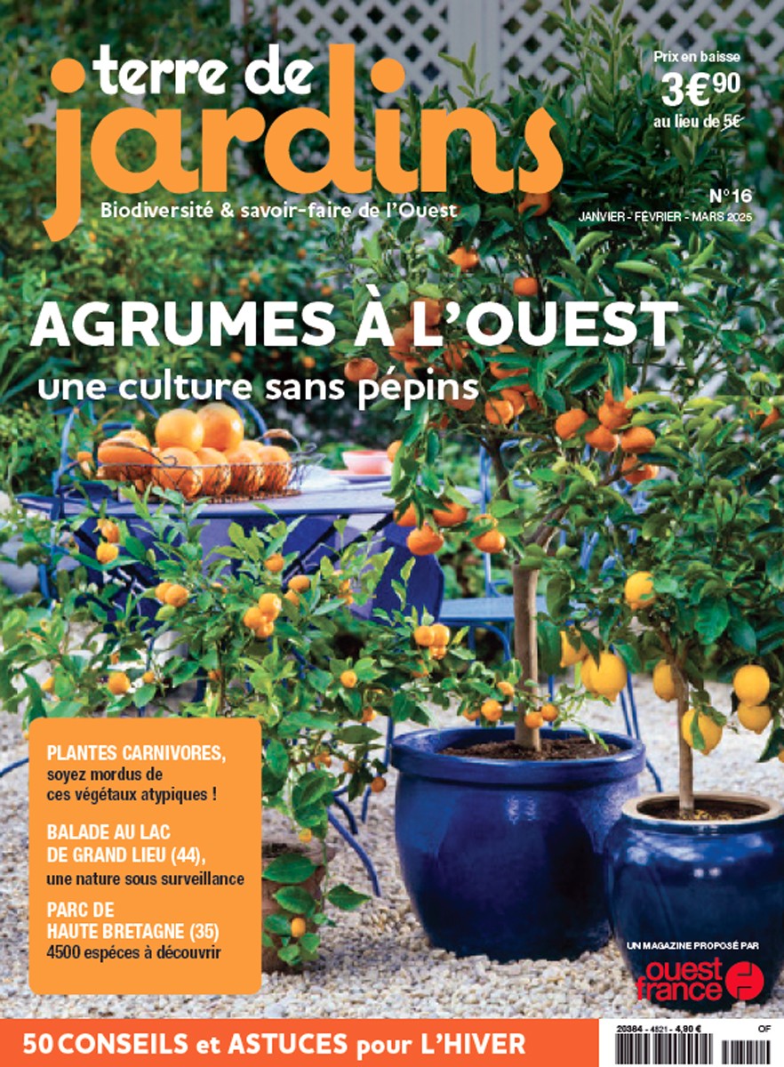 Terre de Jardin, janvier 2025. Photo Friedrich Strauss / Biosphoto.