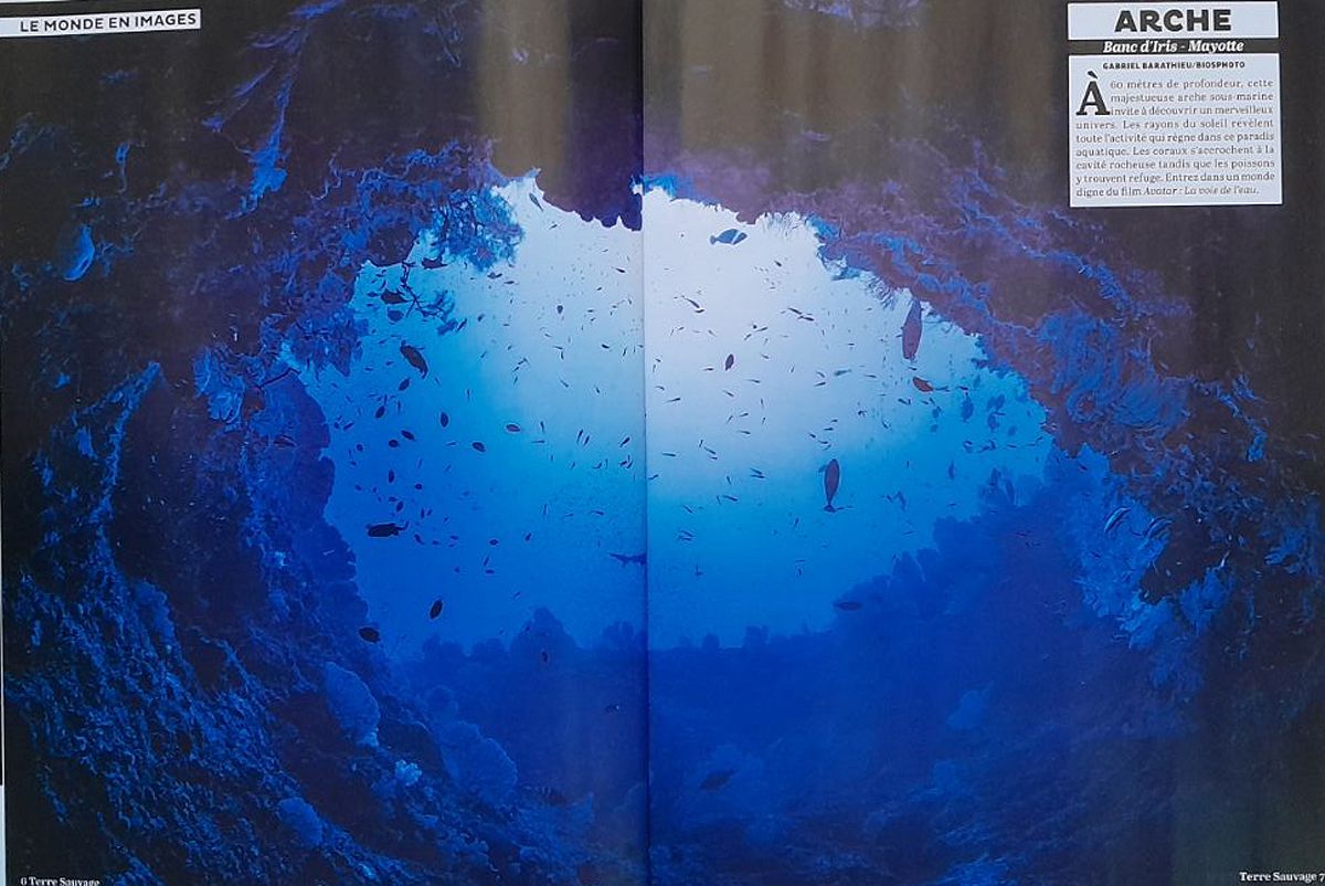 Terre Sauvage, août 2023. Photo Gabriel Barathieu / Biosphoto