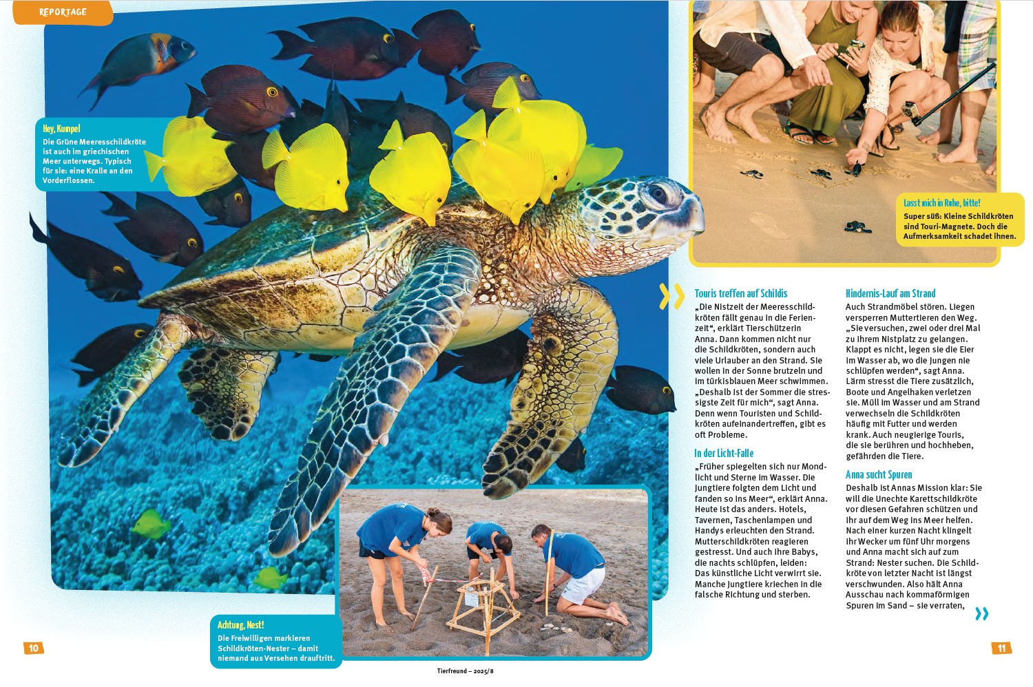 Tierfreund, août 2025. Photo Masa Ushioda / WaterFrame / Biosphoto