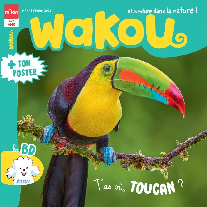Wakou, février 2026. Photo Gary Spicer / Nature in Stock / Biosphoto