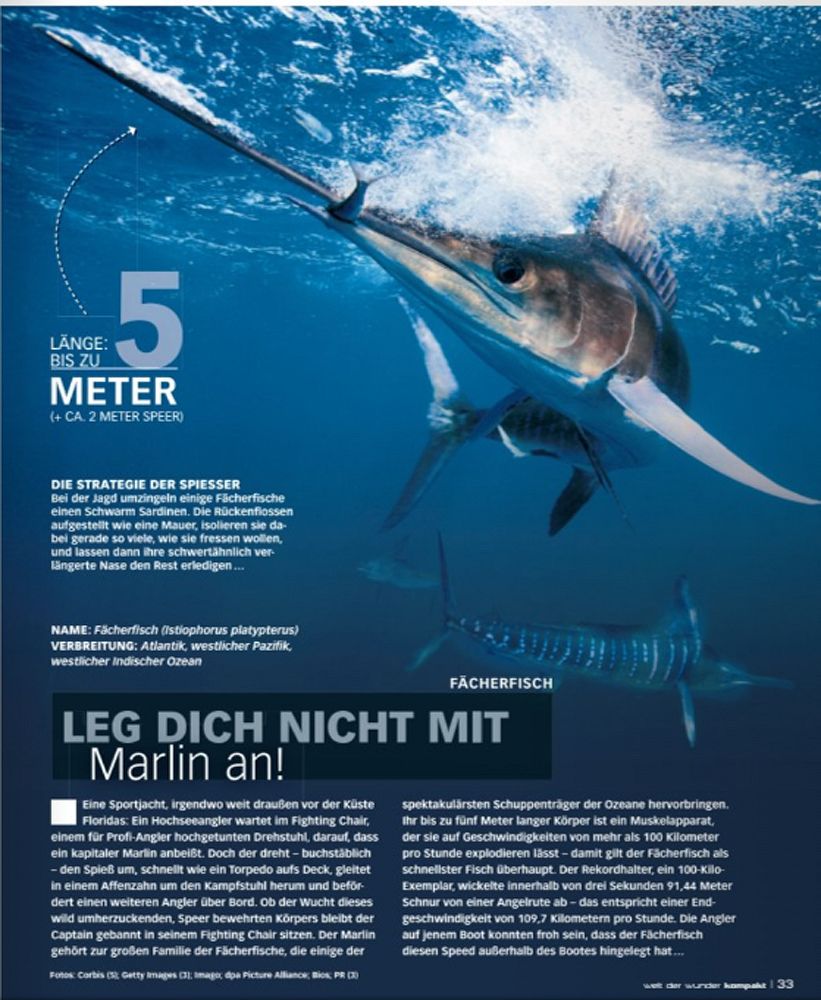 Welt der Wunder, février 2023. Photo Brandon Cole / Biosphoto